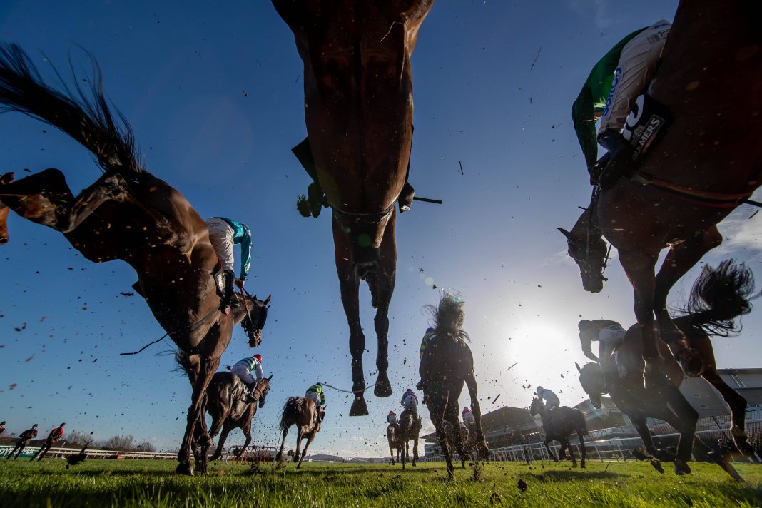 dublin racing festival leopardstown saturday 04/02/2023 novibet