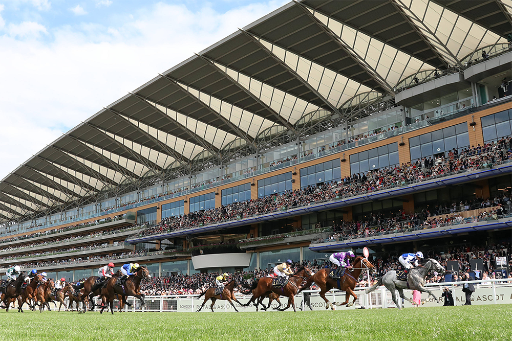 King VI & Queen Elizabeth Stakes History, Recent Trends