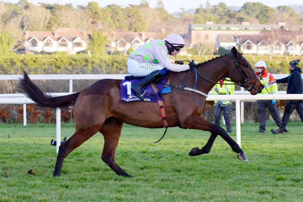 leopardstown racecourse 20 07 2023 novibet