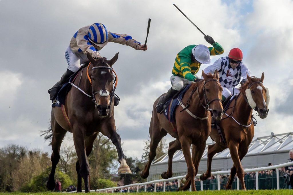 Three horses going for the win at Punchestown Festival