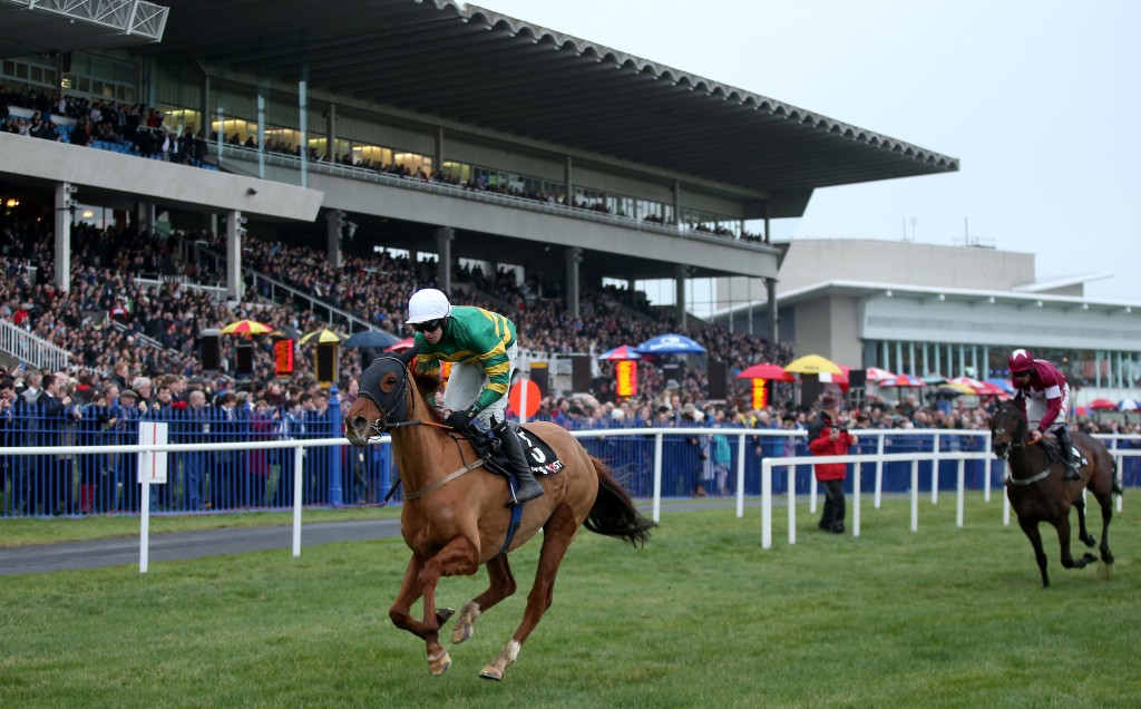 Horses on Leopardstown Racecourse